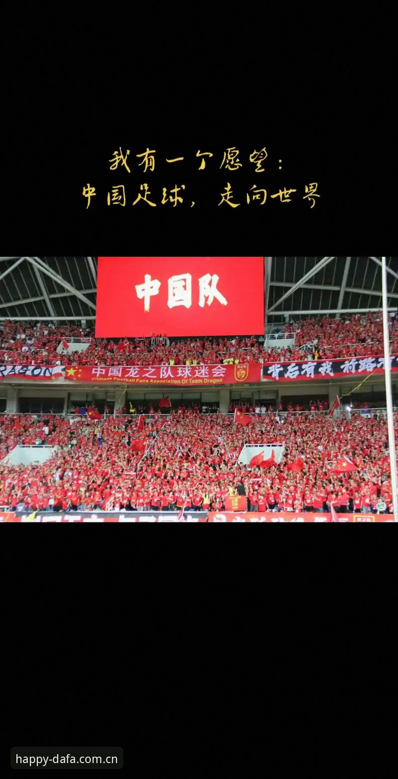大发彩票使用说明哪个好 资深球迷分享:在手机版大发彩票官网体验欧联杯决赛的独特视角与心得